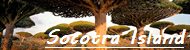 A travel guide to Socotra Island